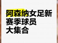 半岛体育官网-包含天空盘点阿森纳截止目前引援：引进六名球员一共花费近2亿欧元的词条